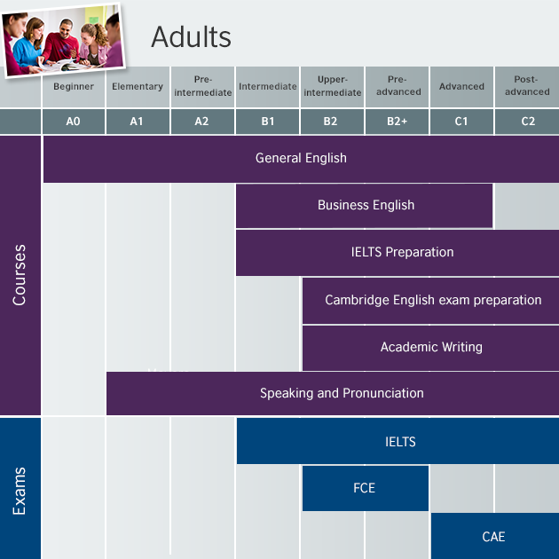 Courses and levels for adults British Council